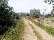   , , mala slika 7