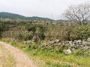   ,  mala slika 1