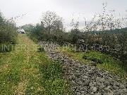   , , mala slika 3