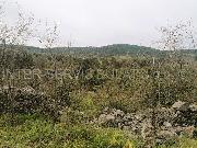   , , mala slika 4