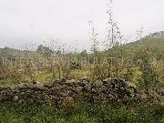   , , mala slika 8