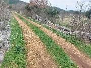   , , mala slika 6