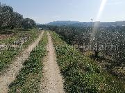  , , mala slika 8