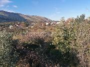   , , mala slika 3