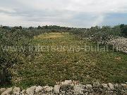   , , mala slika 2