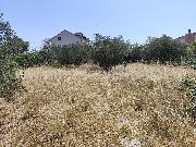   , , mala slika 10