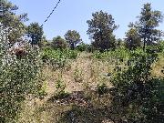   , , mala slika 4
