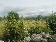   , , mala slika 2