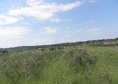 Nekretnina Šibenik - Okolica, Donje Polje
