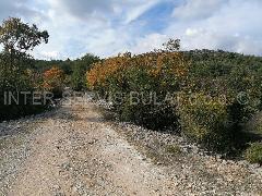 Nekretnina Šibenik - Okolica, Bilice