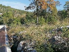 Nekretnina Šibenik - Okolica, Bilice