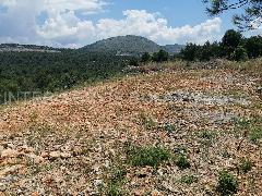 Nekretnina Šibenik - Okolica, Bilice