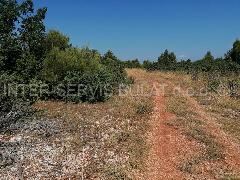 Nekretnina Drniš, Brištani