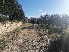 Nekretnina Šibenik - Okolica, Donje Polje