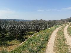 Nekretnina Šibenik - Okolica, Donje Polje