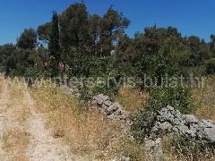 Nekretnina Šibenik - Okolica, Dubrava Kod Šibenika