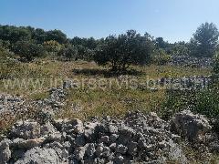 Nekretnina Tribunj, Tribunj